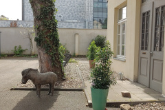 Outdoor2
